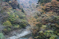 大滝温泉「遊湯館」