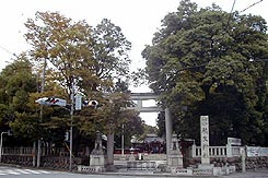 はぎふく