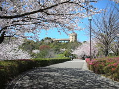 松山総合公園