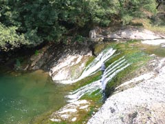 砥部衝上断層