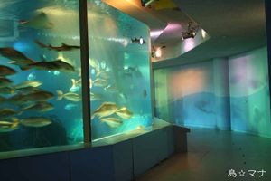 宮島水族館