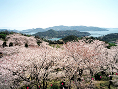 開山公園
