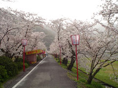 武丈公園