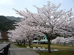 金砂湖畔公園