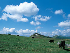 五段高原