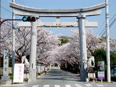 八王子公園