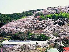 牧野公園