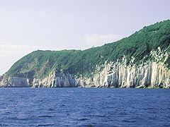 沖の島