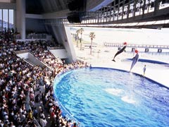 マリンワールド海の中道