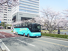 福岡オープントップバス