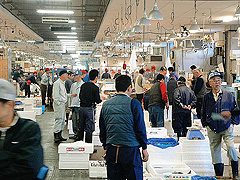 福岡市鮮魚市場