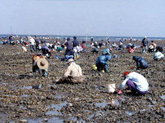 浜の宮海岸