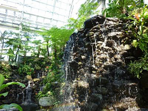 牧野植物園