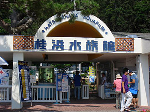 桂浜水族館