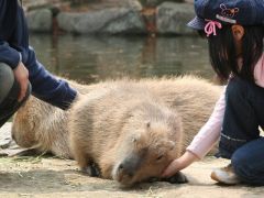 長崎バイオパーク