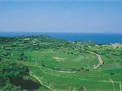的山大島