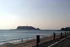 湘南ひらつか太古の湯グリーンサウナ