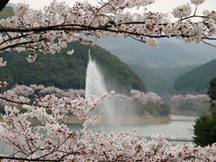 市房ダム湖畔