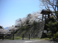 暘谷城趾
