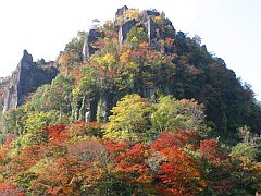 一目八景