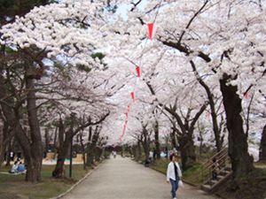 千秋公園