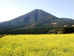 生駒高原
