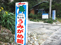 屋久島うみがめ館