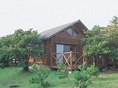 屋久島青少年旅行村