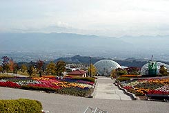 武田神社