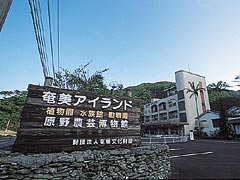 奄美アイランド