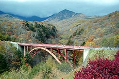 田中治彦美術館