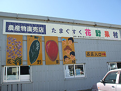 たまぐすく花野果村