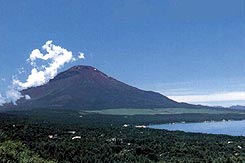 山中湖テディベアワールドミュージアム