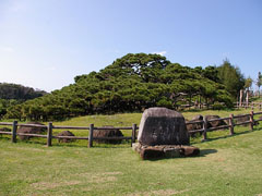五枝の松