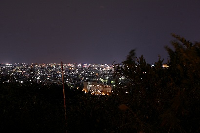 崎山公園