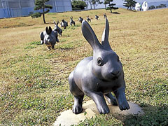 宍道湖うさぎ