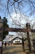 生田緑地