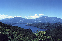 野尻湖やすらぎの森矢保利の館