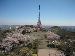 湘南平高麗山公園