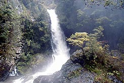 三嶋大社