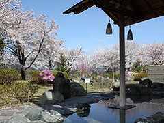藤野やまなみ温泉