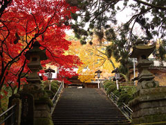 大雄山最乗寺(道了尊)
