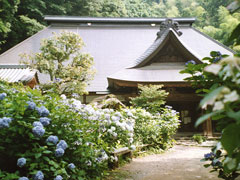 阿弥陀寺(あじさい寺)
