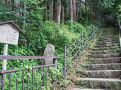 橿木坂