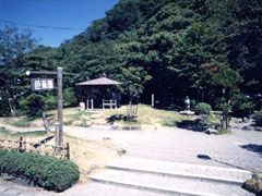 芭蕉園