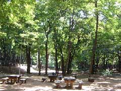 円山公園