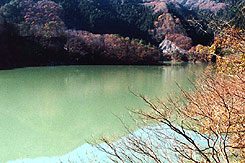 岩戸山観世音寺風天洞