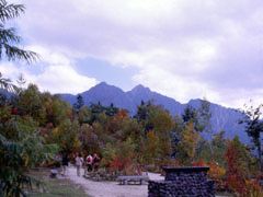 高山植物観察園