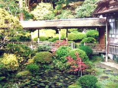 光久寺の茶庭
