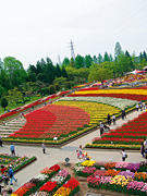 砺波チューリップ公園